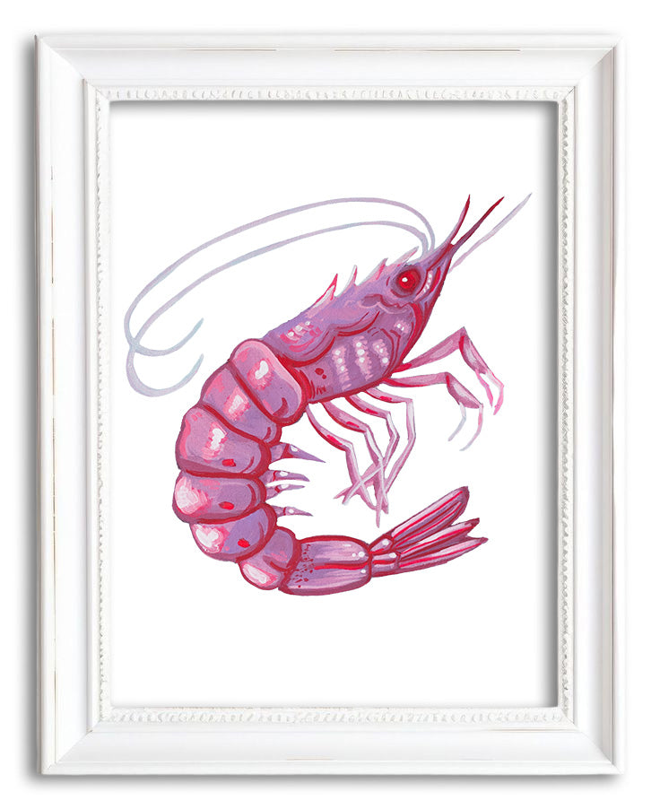 Shrimp Print